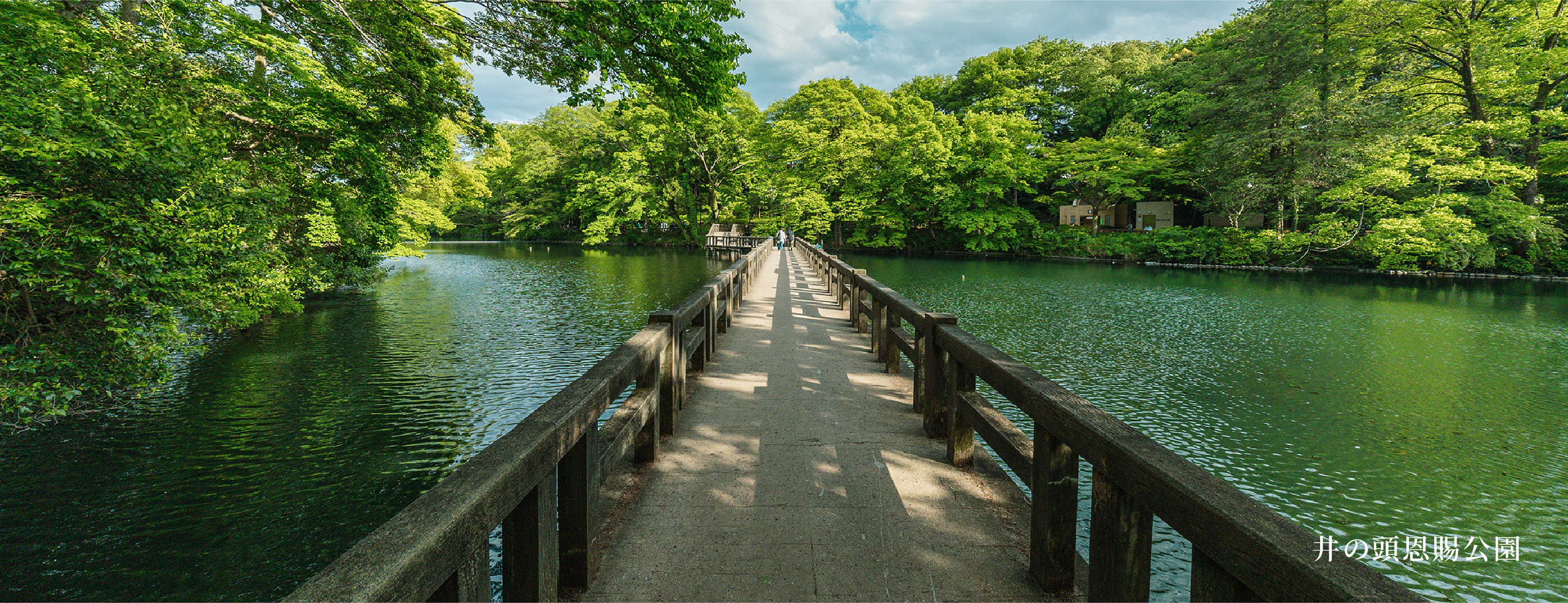井の頭恩賜公園